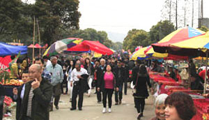 <FONT color=red>Spring Festival in Binhu</FONT>