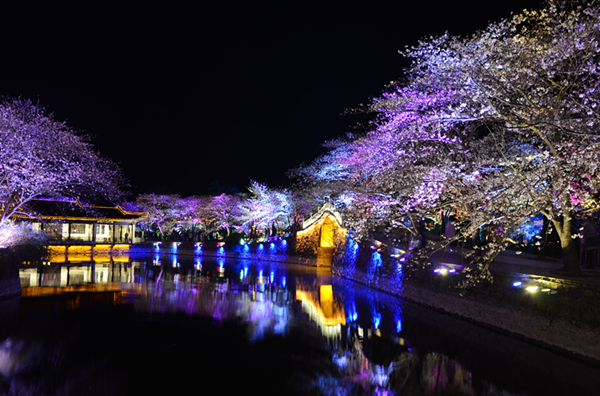 Cherry blossoms dotted with neon lights in Yuantouzhu
