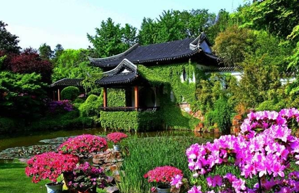 Azalea garden in Wuxi gains national fame