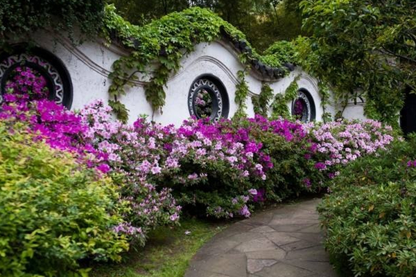 Azalea garden in Wuxi gains national fame