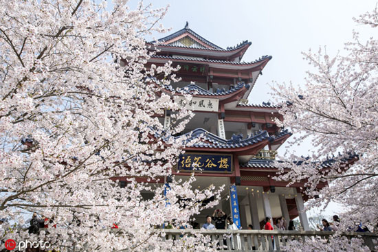 Sino-Japanese friendship to blossom in springtime