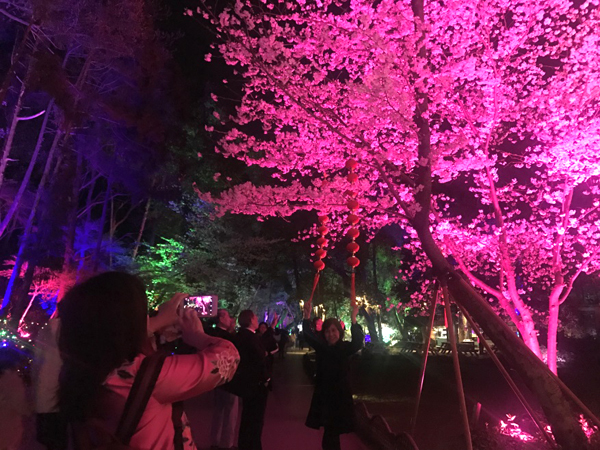 Foreign consul generals laud Wuxi's cherry blossom festival