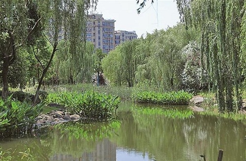 Zhangjiagang achieves 'National Ecological Garden City' status