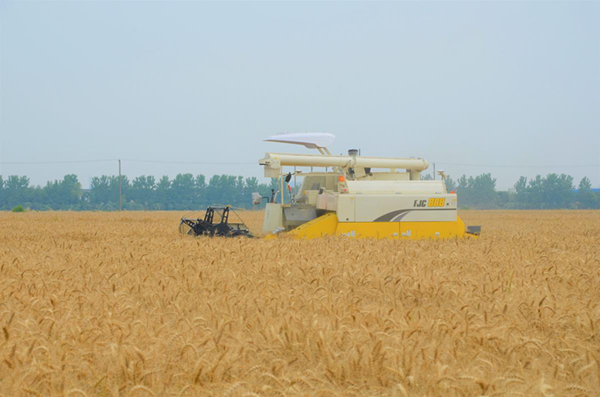 Technology allows for agricultural mechanization in Zhangjiagang