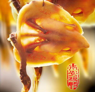 Nan'an pressed salted duck