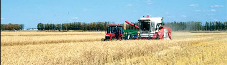 Grain output surges to new heights