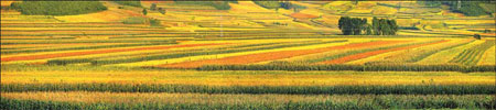 Jilin's fertile plans for farmers