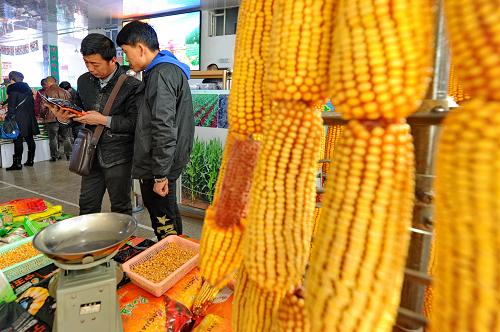 NE China getting itself ready for spring planting