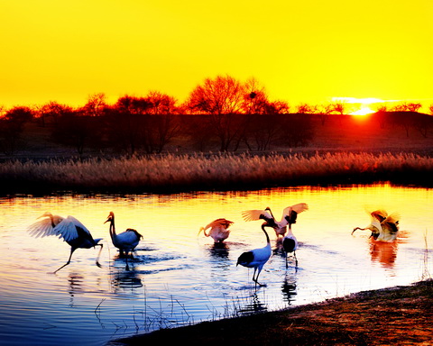 NE China nature reserves