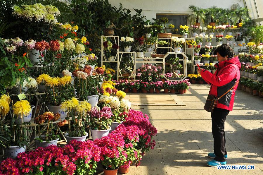 Autumn chrysanthemum show held in NE China