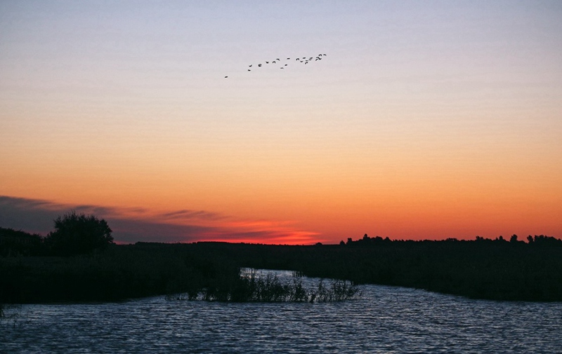 Paradise of bird: Xianghai National Nature Reserve