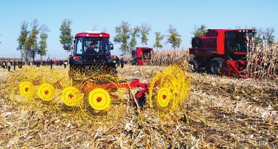 Bumper harvest in NE China