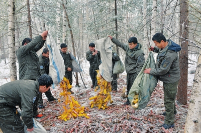 Wildlife getting better treatment in Jilin