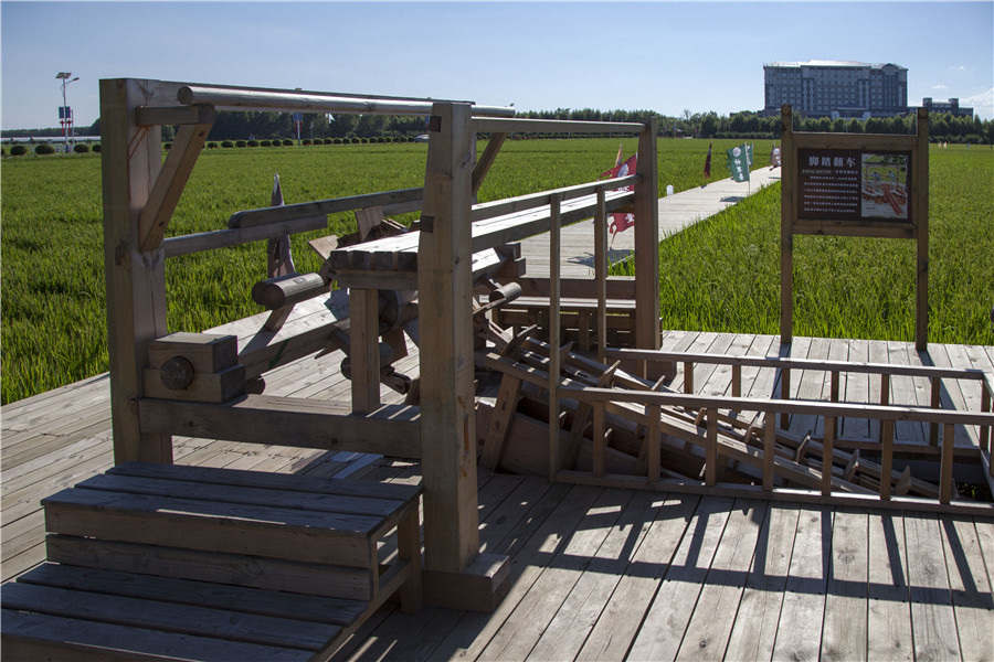 Rice paddy themed park reveals beauty of nature