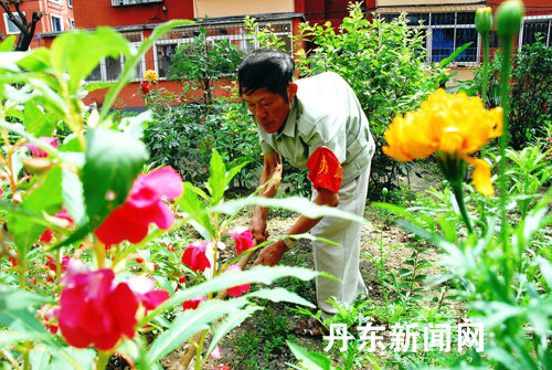 Garden Dandong