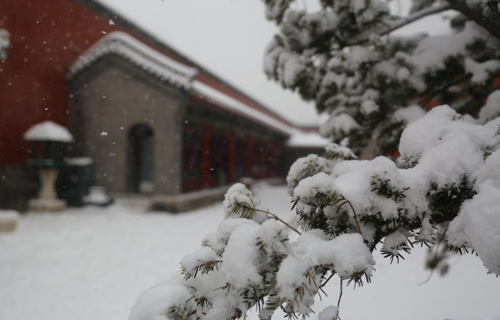 Snow comes to Shenyang Imperial Palace