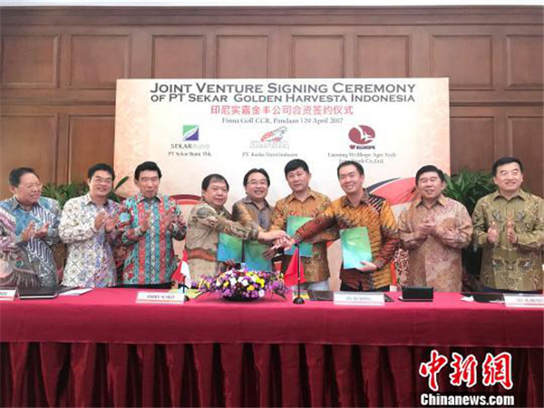 Wellhope on track for better commercial operations