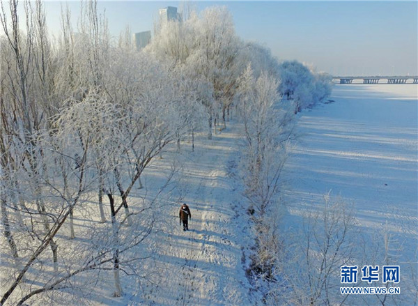 Frost covers Shenyang trees