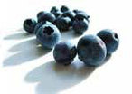 Fit food guide