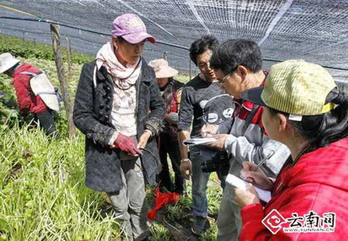 Over 20 Lijiang journalists visit impoverished county