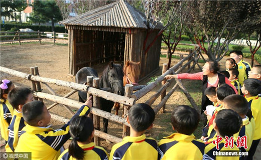 Qingdao school sets up zoo on campus