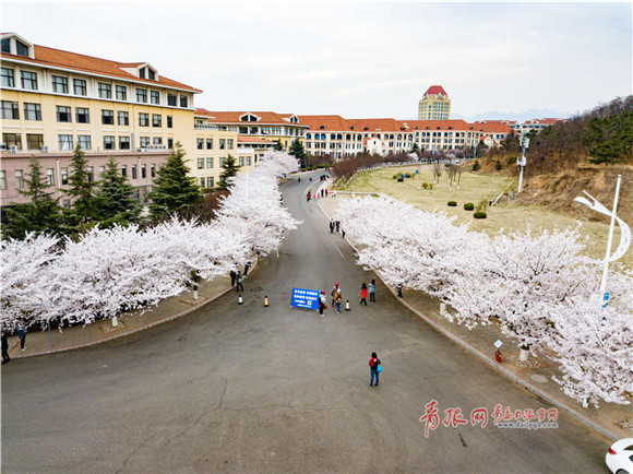 Kết quả hình ảnh cho Ocean University of China