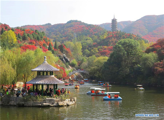 Charming autumn scenery in Jinan, E China's Shandong