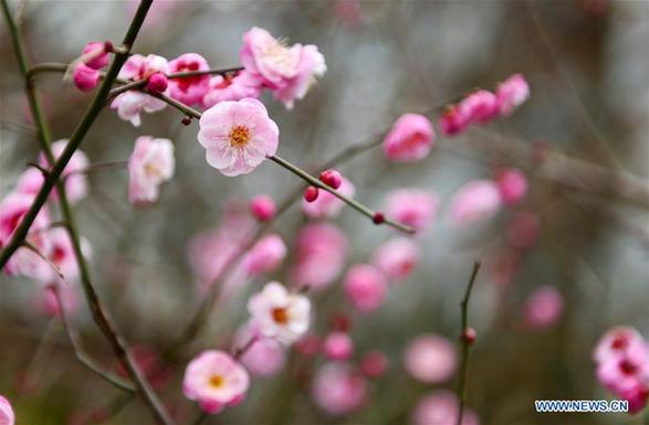 'Lichun': the beginning of spring