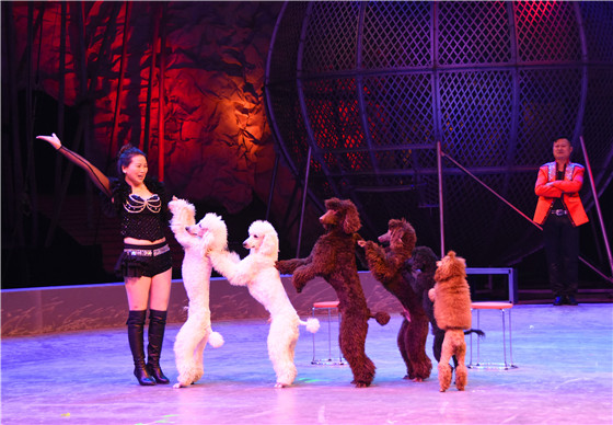 Dazzling circus acts delight Shandong audience