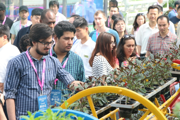 In pics: Overseas students experience delights of Linyi