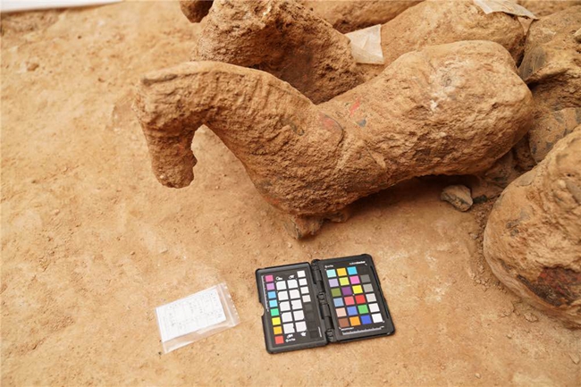 Sixteen ancient tombs discovered in Shandong