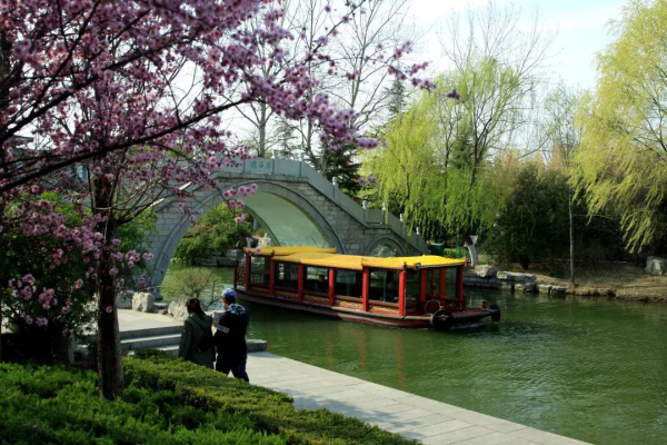 Colors of spring captured in Jinan