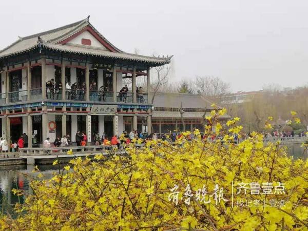 Blooming flowers lend charm to Five Dragon Pool