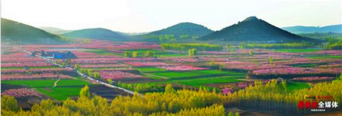 Peach blossom festival coming to Tai'an