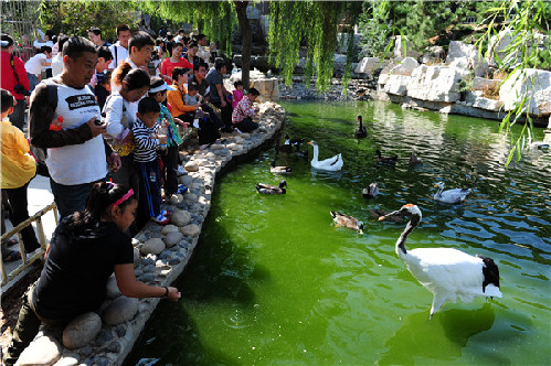 Nanshan Park