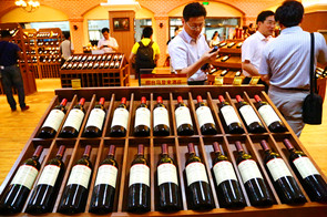 Yantai, an international vine and wine city