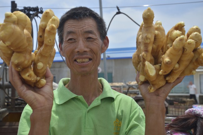 Ginger market benefits farmers in Laizhou