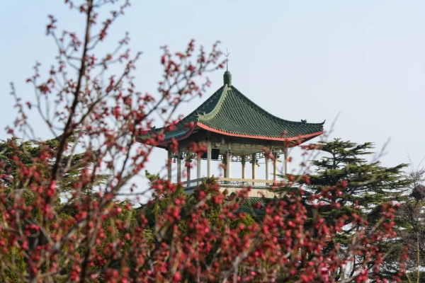 Recommended places to admire flowers in Yantai