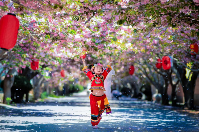 Flowers and trees add colors to spring