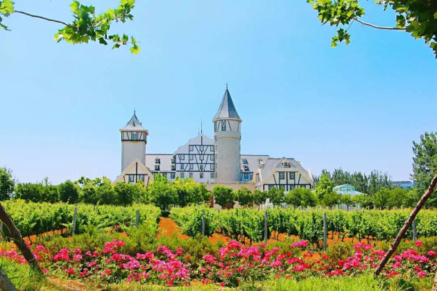 Breathtaking spring scenery of Chateau Changyu Castle