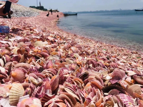 Kongtong Island boasts unique coastal views