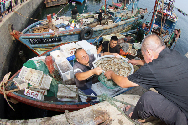 Fishermen cast off as summer fishing ban ends