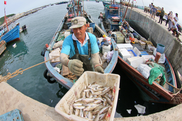 Fishermen cast off as summer fishing ban ends