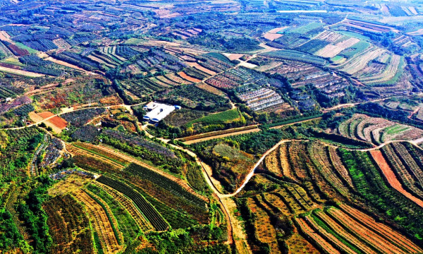 In pics: Colorful palette of autumn fields in Yantai