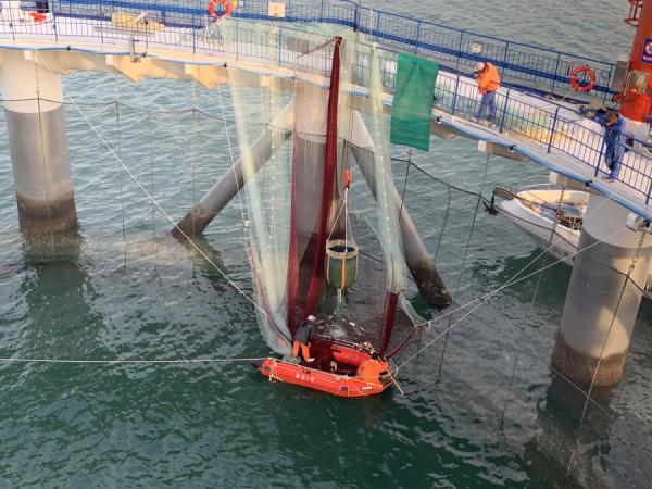 Yantai marine ranch complex welcomes foreign visitors