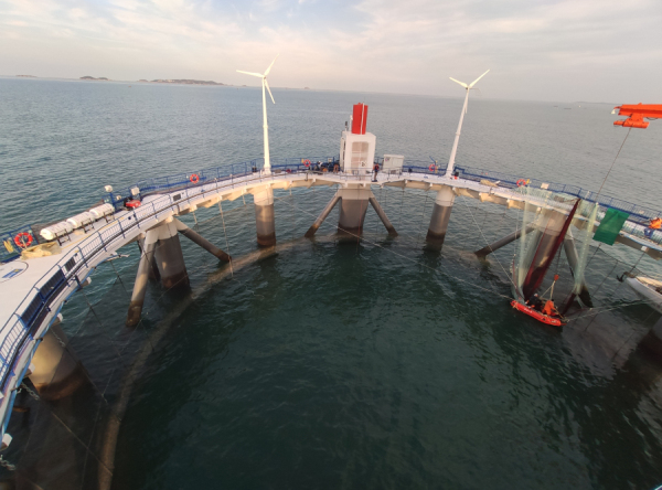 Yantai marine ranch complex welcomes foreign visitors