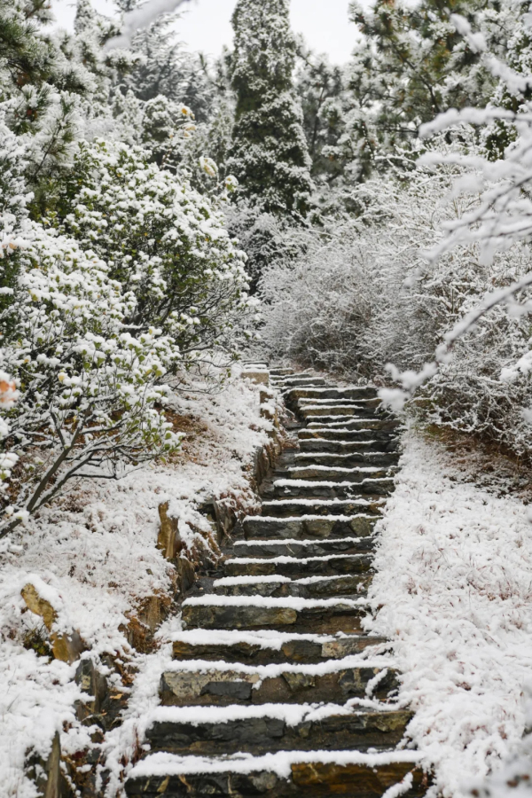 ​Snow falls on Nanshan Mountain