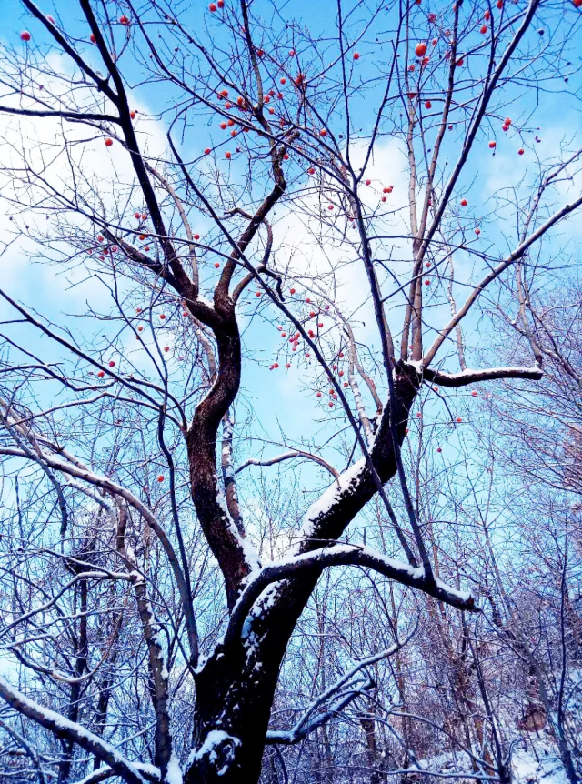 Picturesque Tiangu Mountain in winter