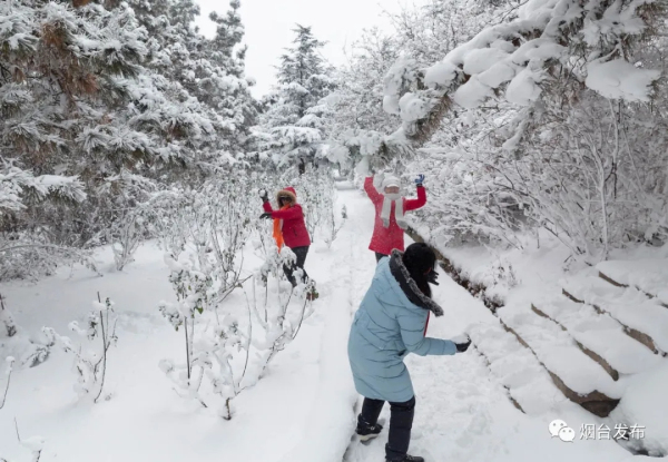 In pics: Spectacular snow-filled scenery in Yantai