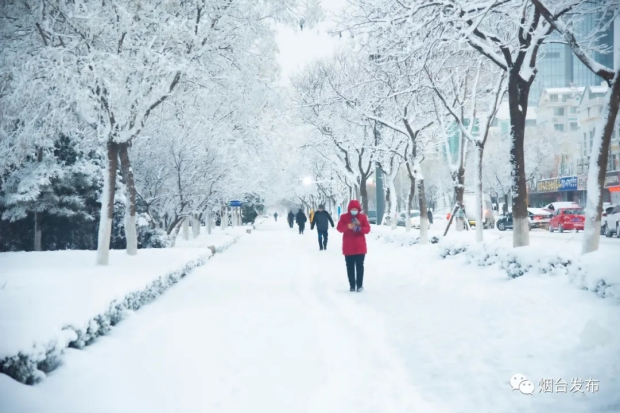 Heavy snow blankets Yantai